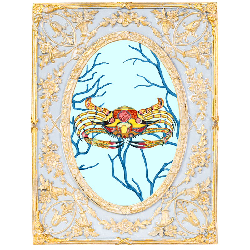 Картина в раме с золотым орнаментом Seashell Still Life 2 Мульти Золотой Голубой Картина в раме с золотым орнаментом Seashell Still Life 2 Мульти Золотой Голубой в Красноярске | Loft Concept