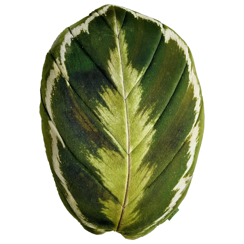 Декоративная подушка Botanical Cushion Calathea Medallion Зеленый Декоративная подушка Botanical Cushion Calathea Medallion Зеленый в Красноярске | Loft Concept