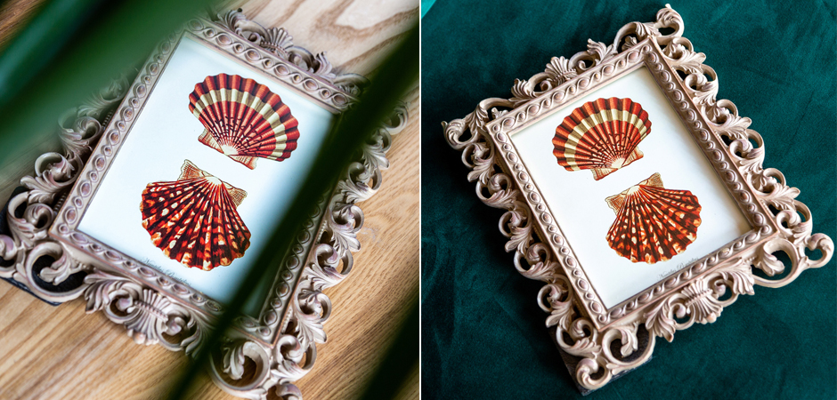 Постер Red Scallop Poster - Loft-Concept в Красноярске