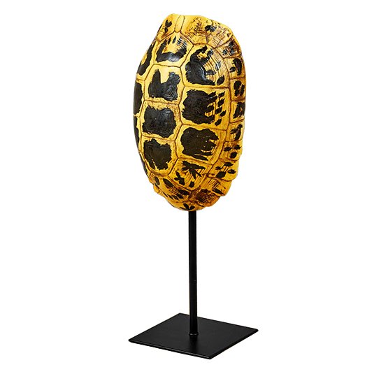 Статуэтка Yellow Tortoise Shell Черный Желтый Статуэтка Yellow Tortoise Shell Черный Желтый в Красноярске | Loft Concept