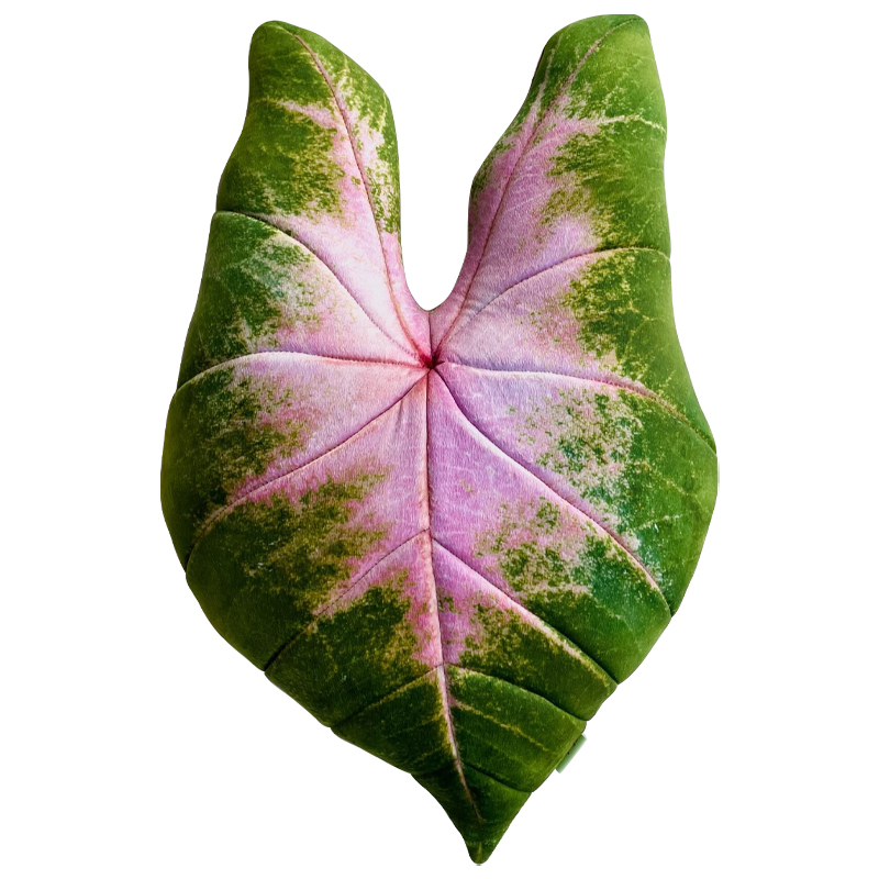 Декоративная подушка Botanical Cushion Caladium Bicolor Зеленый Розовый Декоративная подушка Botanical Cushion Caladium Bicolor Зеленый Розовый в Красноярске | Loft Concept
