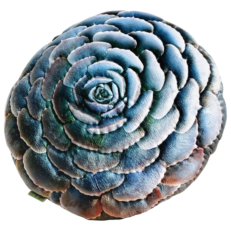 Декоративная подушка Botanical Cushion Succulentus Зеленый Зеленый шалфей Бирюзовый Декоративная подушка Botanical Cushion Succulentus Зеленый Зеленый шалфей Бирюзовый в Красноярске | Loft Concept