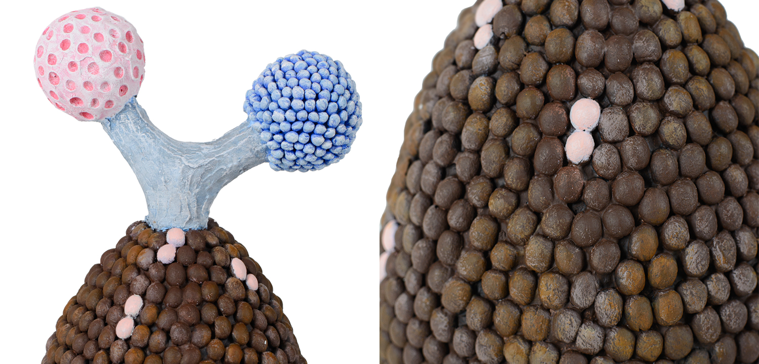 Статуэтка тропический фрукт Tropical Fruit brown - фото