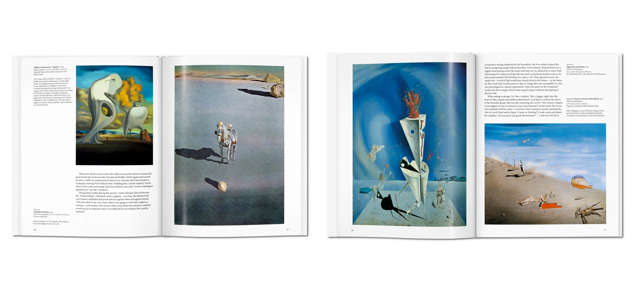 Книга Dali 27 x 21 cm - фото №1