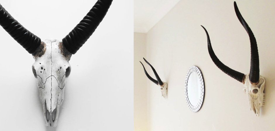 Череп антилопы с черными рогами - Loft-Concept в Красноярске