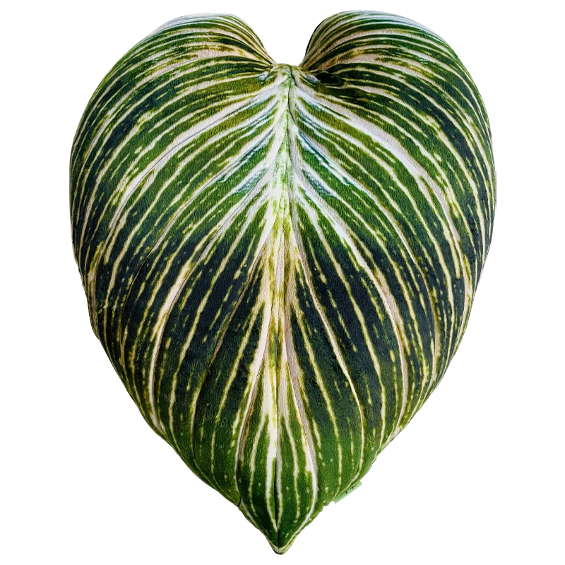 Декоративная подушка Botanical Cushion Philodendron Birkin Зеленый Салатовый Белый Декоративная подушка Botanical Cushion Philodendron Birkin Зеленый Салатовый Белый в Красноярске | Loft Concept