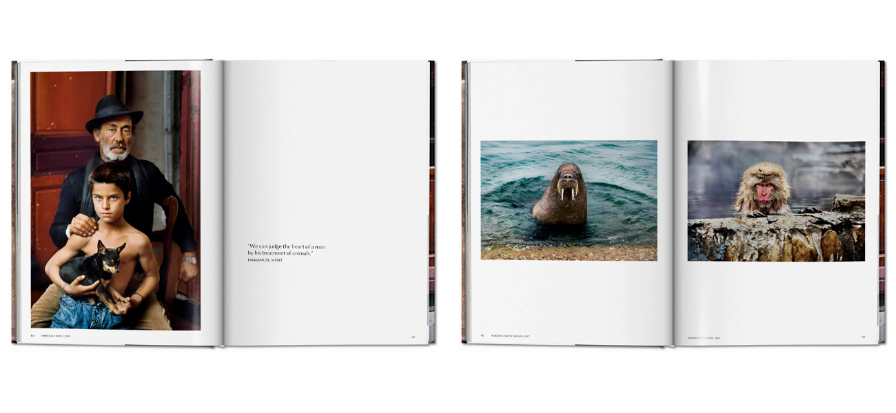 Steve McCurry. Animals - фото