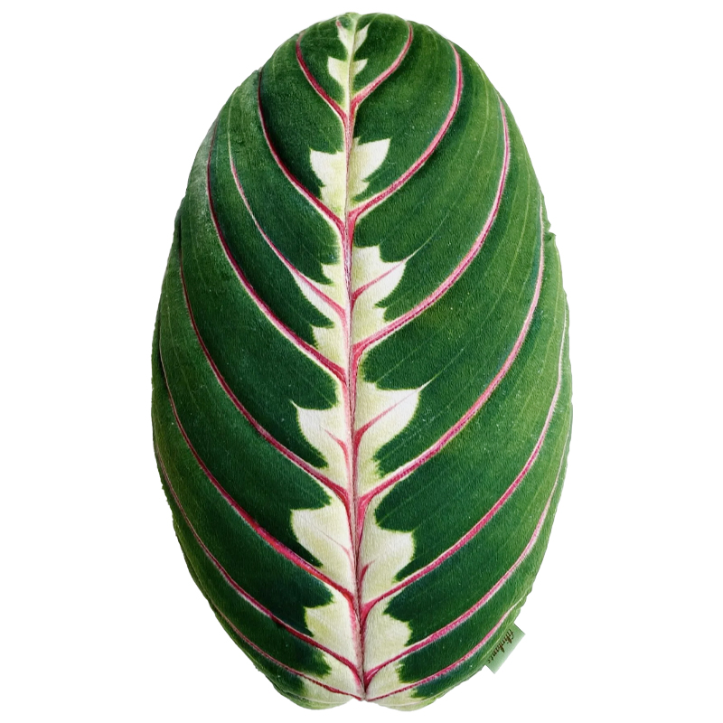 Декоративная подушка Botanical Cushion Maranta Trikolor Зеленый Бургундский красный Декоративная подушка Botanical Cushion Maranta Trikolor Зеленый Бургундский красный в Красноярске | Loft Concept