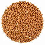 Панно «Gold Star» варинант исполнения - 1 | Loft Concept в Красноярске