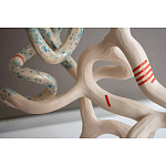 Скульптура «Papañca» варинант исполнения - 3 | Loft Concept в Красноярске