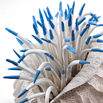 Статуэтка тропический фрукт Tropical Fruit White Blue варинант исполнения - 1 | Loft Concept в Красноярске