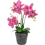 Декоративный искусственное растение Pink orchid варинант исполнения - 1 | Loft Concept в Красноярске