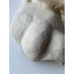 Чаша «Каменный лепесток» варинант исполнения - 3 | Loft Concept в Красноярске