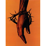 Подарочная книга величайший фотограф Альберт Уотсон The Vienna album Albert Watson варинант исполнения - 4 | Loft Concept в Красноярске