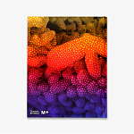 Редкое подарочное издание Yayoi Kusama: 1945 to Now варинант исполнения - 3 | Loft Concept в Красноярске