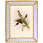 Постер с изображением птиц и цветов в зеркальной раме Blooming Birds Poster варинант исполнения - 4 | Loft Concept в Красноярске