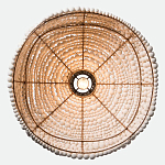 Подвесной светильник в виде купола декорированный белыми деревянными бусинами White Wooden Beads Hanging Lamp варинант исполнения - 4 | Loft Concept в Красноярске