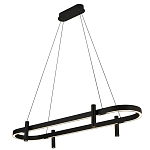 Люстра подвесная овальная черная  Black Light Fixtures варинант исполнения - 1 | Loft Concept в Красноярске