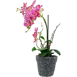 Декоративный искусственное растение Pink orchid варинант исполнения - 4 | Loft Concept в Красноярске