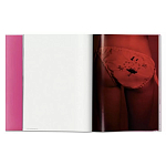 Книга Gisele Bundchen варинант исполнения - 7 | Loft Concept в Красноярске