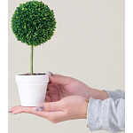 Декоративный искусственное растение Boxwood One варинант исполнения - 6 | Loft Concept в Красноярске