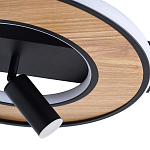 Потолочный светильник круглый GAVIN WOOD варинант исполнения - 2 | Loft Concept в Красноярске