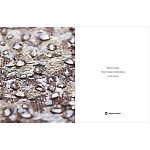 Книга Maison Lesage: Haute Couture Embroidery Mauries Patrick варинант исполнения - 11 | Loft Concept в Красноярске