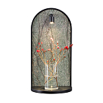 Настенный светильник зеленого цвета с черной рамкой овальной формы с полкой Herbarium  варинант исполнения - 6 | Loft Concept в Красноярске