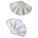 Фигурка из фарфора в виде одной створки ракушки Marine Tridacna варинант исполнения - 3 | Loft Concept в Красноярске