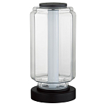 Настольная лампа с прозрачным плафоном Jarrty варинант исполнения - 1 | Loft Concept в Красноярске