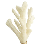 Статуэтка Stand Coral варинант исполнения - 2 | Loft Concept в Красноярске