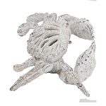 Статуэтка краб с детализированной текстурой в белом цвете Marine Accessories варинант исполнения - 4 | Loft Concept в Красноярске