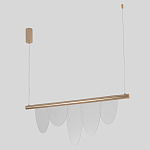 Люстра подвесная с пятью прозрачными элементами в форме лепестков и золотистым металлическим основанием DALI Tonin Casa варинант исполнения - 2 | Loft Concept в Красноярске