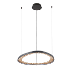 Люстра светодиодная  Iris варинант исполнения - 2 | Loft Concept в Красноярске