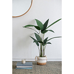 Декоративный искусственное растение Decor Stile  варинант исполнения - 7 | Loft Concept в Красноярске