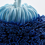 Статуэтка Синий тропический фрукт Tropical Fruit Pandora 1 варинант исполнения - 4 | Loft Concept в Красноярске