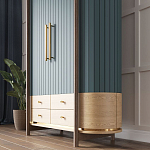 Шкаф «Гавайи» варинант исполнения - 2 | Loft Concept в Красноярске