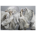 Alexander McQueen: Savage Beauty варинант исполнения - 2 | Loft Concept в Красноярске