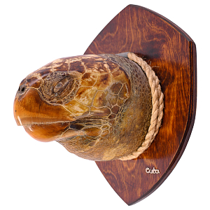 Аксессуар на стену Черепаха