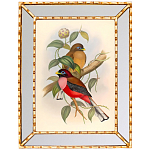 Постер с изображением птиц и цветов в зеркальной раме Blooming Birds Poster варинант исполнения - 7 | Loft Concept в Красноярске