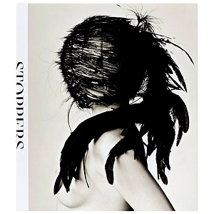 Posnick Phyllis Stoppers Photographs from My Life at Vogue