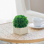 Декоративный искусственное растение Square boxwood варинант исполнения - 6 | Loft Concept в Красноярске