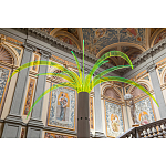 Дизайнерский торшер в виде пальмы Poltronova Sanremo Floor Lamp варинант исполнения - 9 | Loft Concept в Красноярске