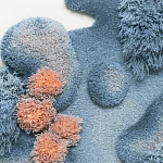 Тканый вручную Большой абстрактный гобелен Frost Forest варинант исполнения - 1 | Loft Concept в Красноярске