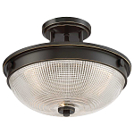 Потолочный светильник со стеклянным плафоном в виде купола Quoizel варинант исполнения - 8 | Loft Concept в Красноярске