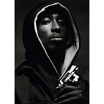 Подарочная книга величайший фотограф Альберт Уотсон The Vienna album Albert Watson варинант исполнения - 2 | Loft Concept в Красноярске