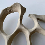 Блюдо «Бежевый коралл» варинант исполнения - 3 | Loft Concept в Красноярске