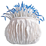 Статуэтка тропический фрукт Tropical Fruit White Blue варинант исполнения - 3 | Loft Concept в Красноярске