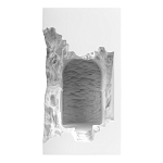 Встраиваемый в стену гипсовый светильник под покраску с эффектом разрушенной стены Antiquity Athena варинант исполнения - 2 | Loft Concept в Красноярске