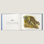Лимитированная подарочная книга HERMES Fierce and Fragile book, English version варинант исполнения - 3 | Loft Concept в Красноярске